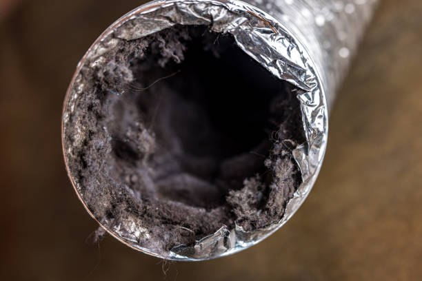 Best Best Air Duct Cleaning Company  in Alburtis, PA